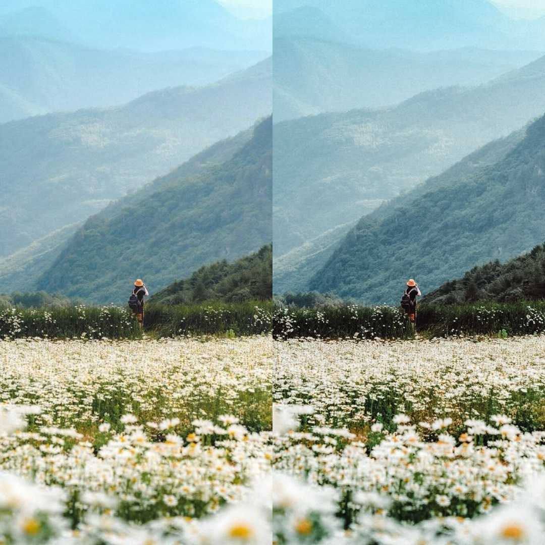 Nature Lightroom Presets Aesthetic Filters for Outdoor Photography