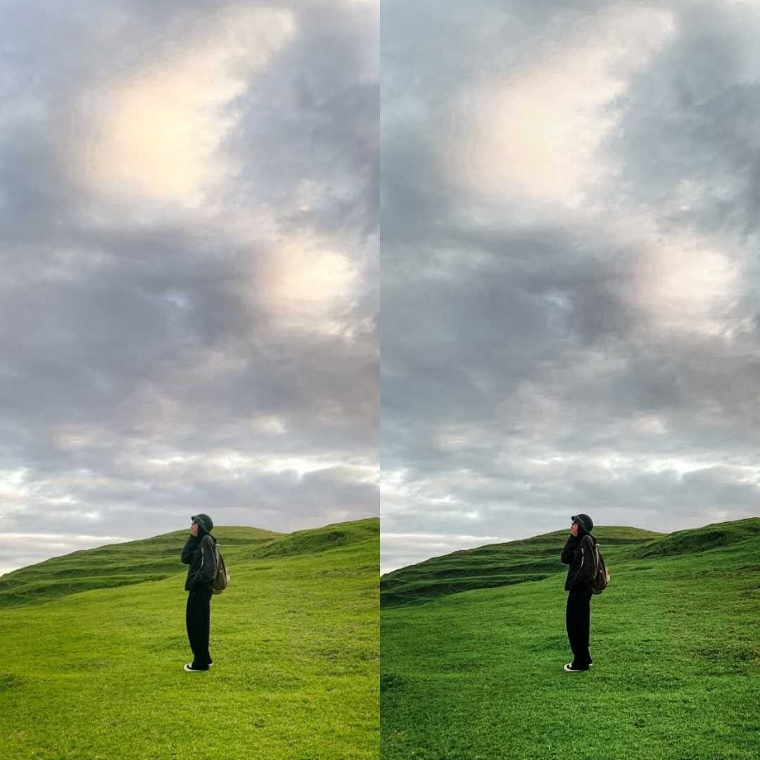 Nature Lightroom Presets Aesthetic Filters for Outdoor Photography
