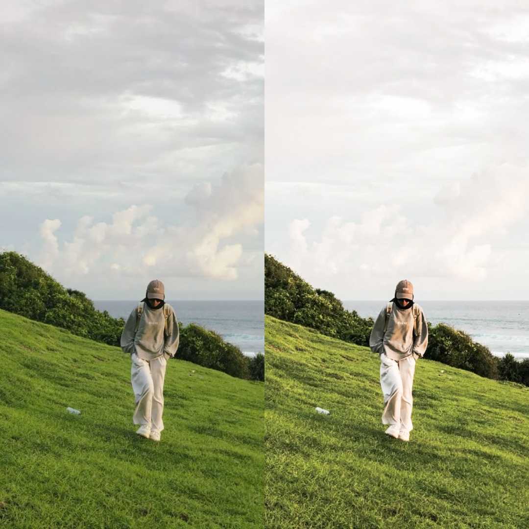 Nature Lightroom Presets Aesthetic Filters for Outdoor Photography