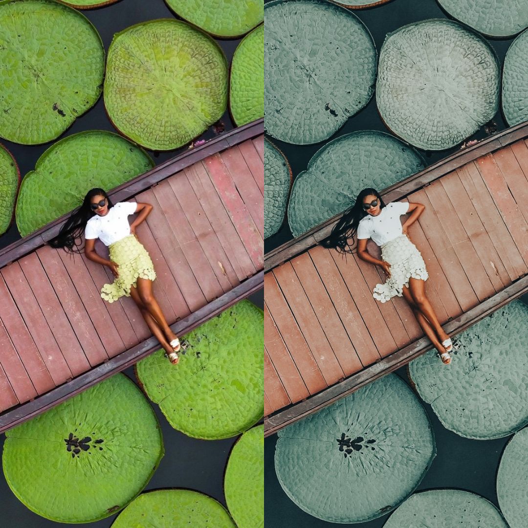 AVOCADO - ArtistryTone