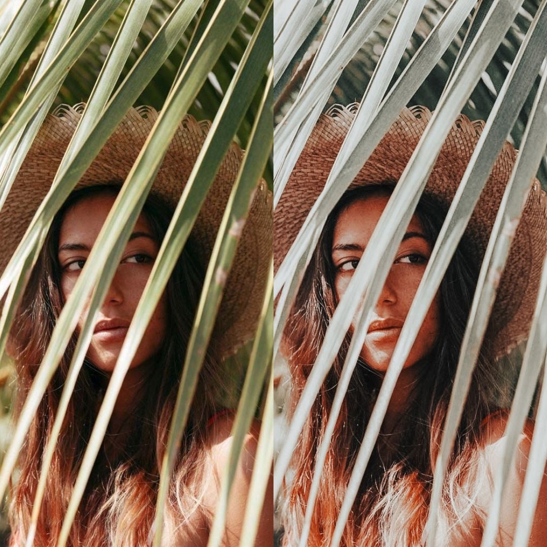AVOCADO - ArtistryTone