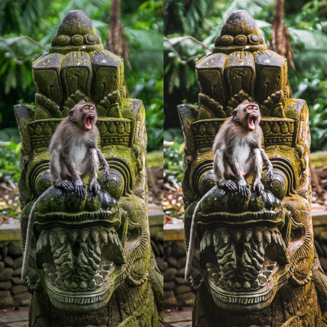 BALI - ArtistryTone
