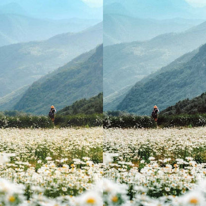 Nature Lightroom Presets Aesthetic Filters for Outdoor Photography